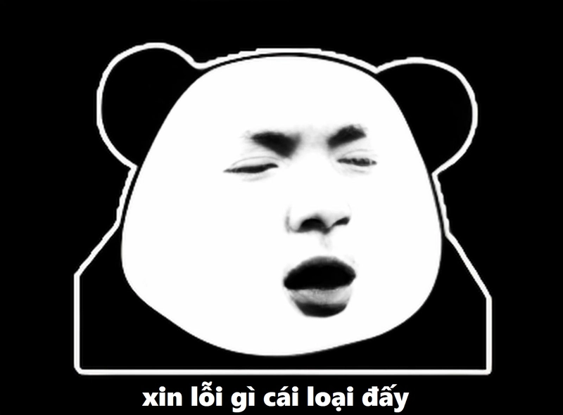Bộ ảnh gấu trúc xin lỗi meme châm biếm nhẹ nhàng