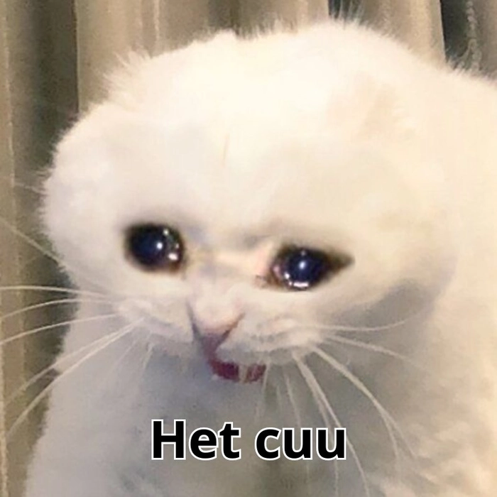 Bộ ảnh meme hết cứu cười bể bụng