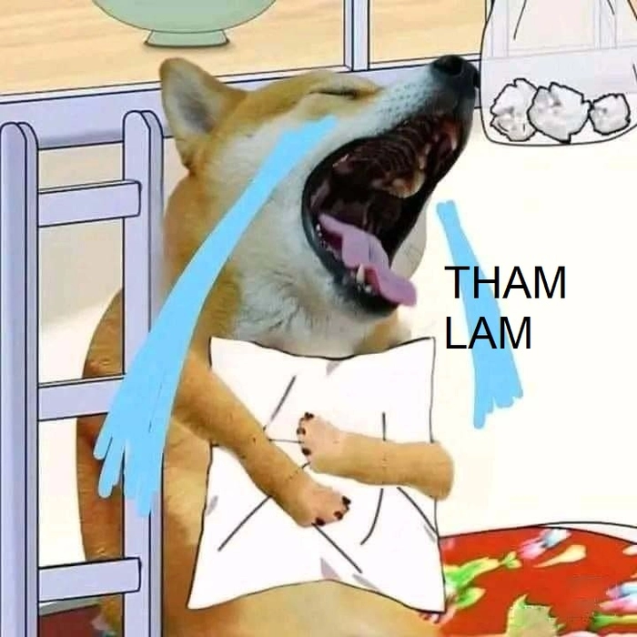 Bộ ảnh meme tham lam hài hước