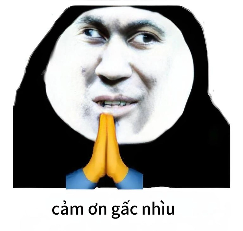 Bộ meme gấu trúc cảm ơn ấn tượng