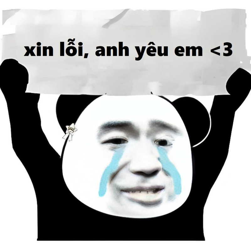 Bộ meme gấu trúc xin lỗi đáng yêu nhất hiện nay