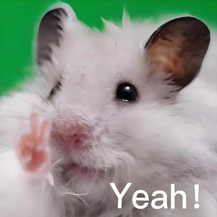 Bộ sưu tập hài hước meme chuột Hamster