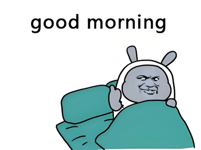Bộ sưu tập meme gấu trúc cực kỳ ấn tượng