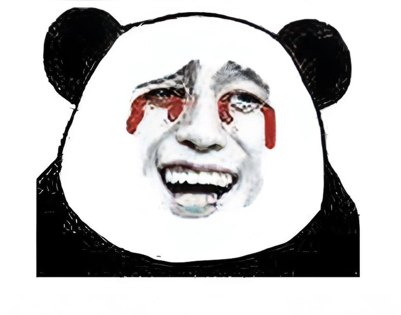 Bộ sưu tập meme gấu trúc vui nhộn