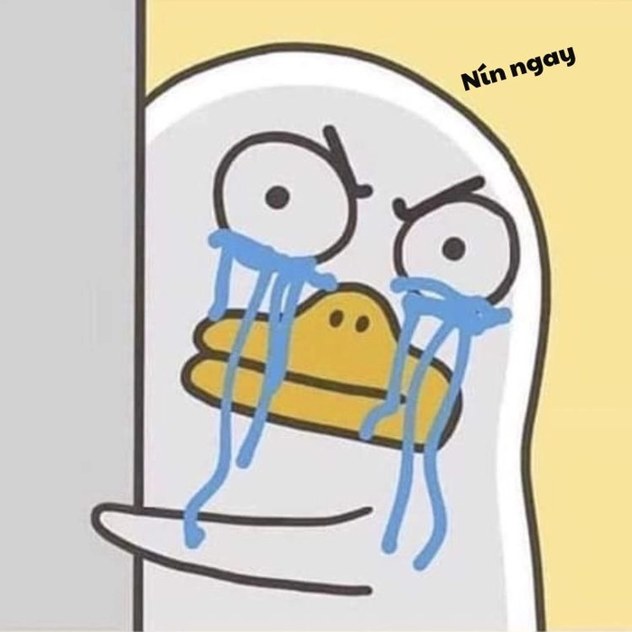 Bộ sưu tập meme nín ngộ nghĩnh dễ mến