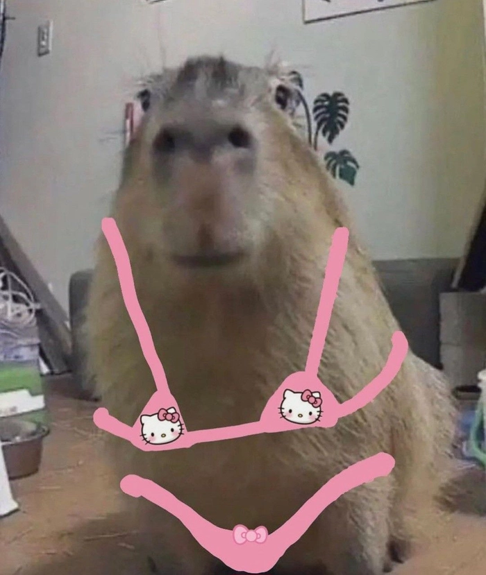 Capybara meme anime phong cách hài hước