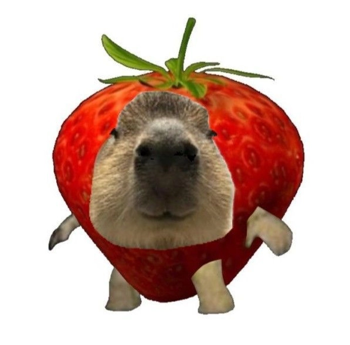 Capybara meme cute hài hước đáng nhớ