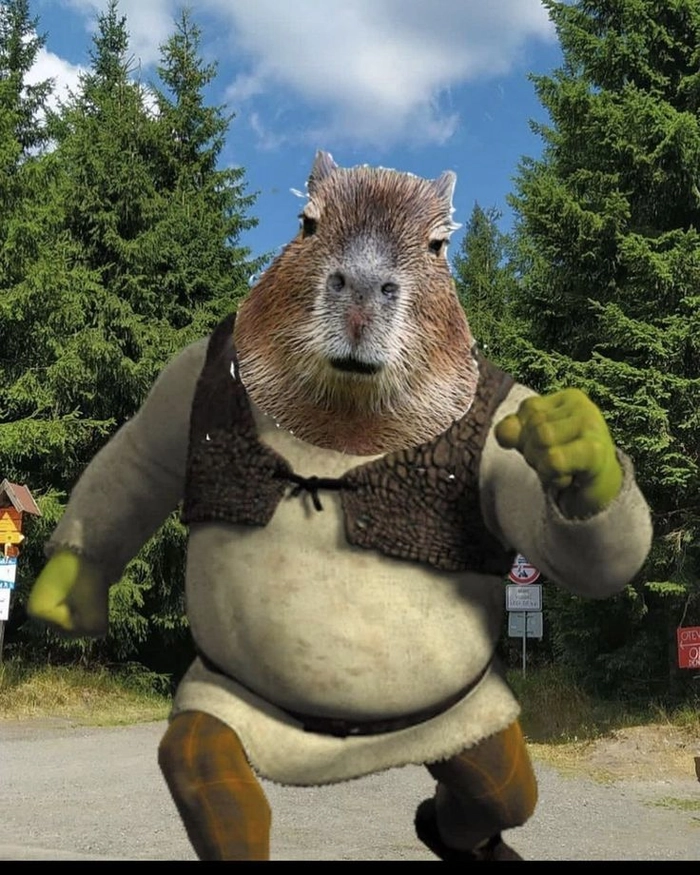 Capybara meme hét cực hài