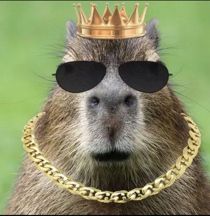 Capybara meme hét hài hước đáng yêu