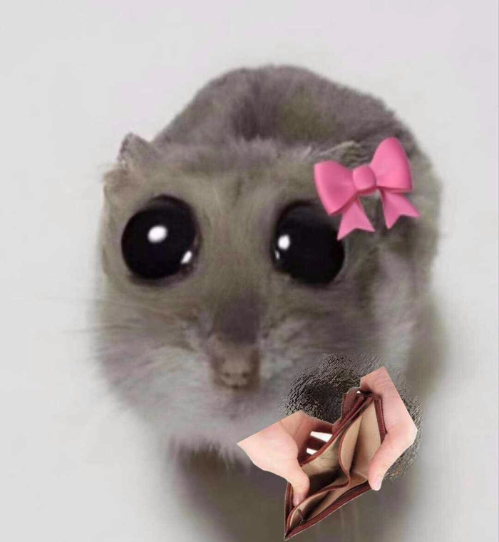 Chuột Hamster meme cute pha chút lầy lội