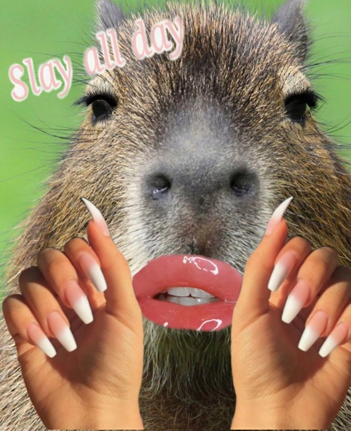 Con capybara meme dễ thương tinh nghịch
