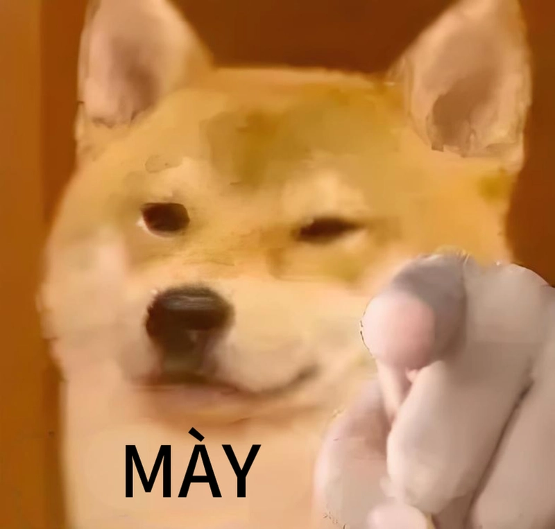 Đáng yêu meme vui nhộn