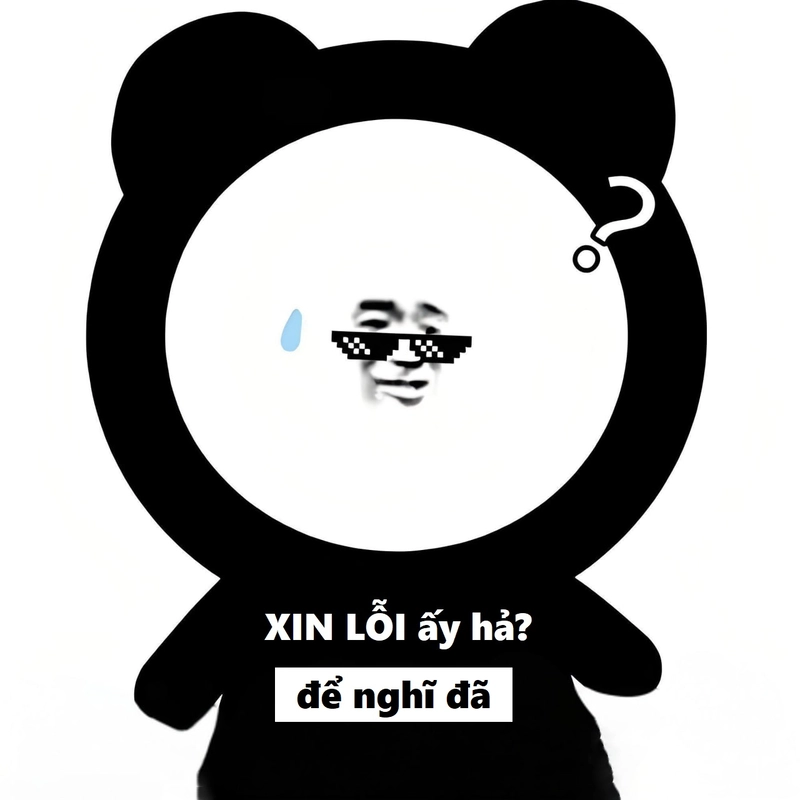 Gấu trúc meme xin lỗi cực hot trend 2025
