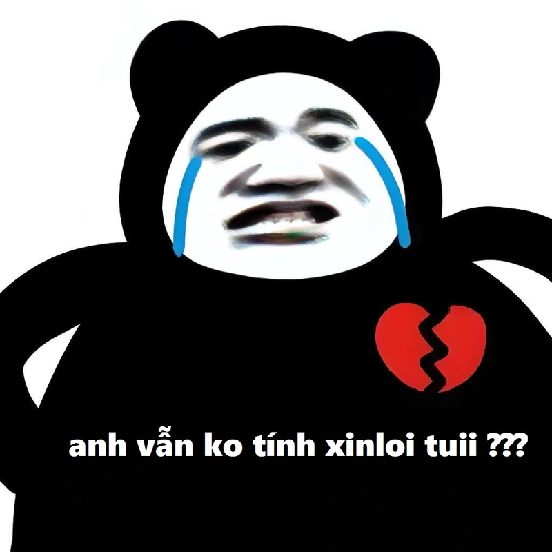 Gấu trúc meme xin lỗi siêu dễ thương cho bạn gái