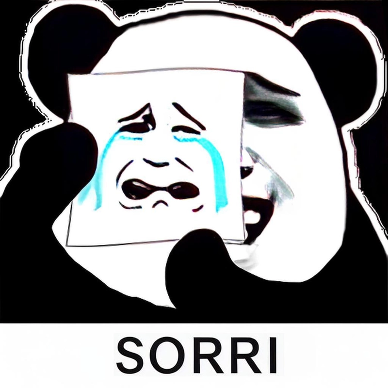 Gấu trúc xin lỗi meme hài khó nhịn cười