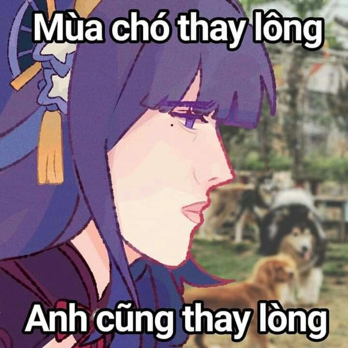 Genshin Impact meme hot trend