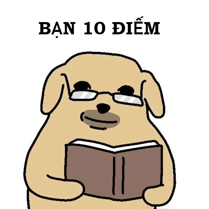 Hình ảnh meme 10 điểm troll vui nhộn