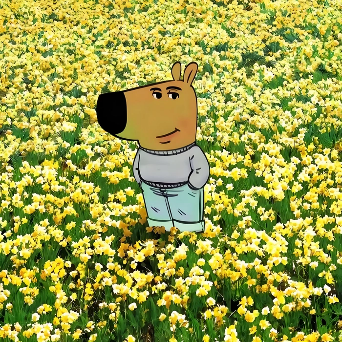 Hình ảnh meme Chill Guy cực chất đáng yêu