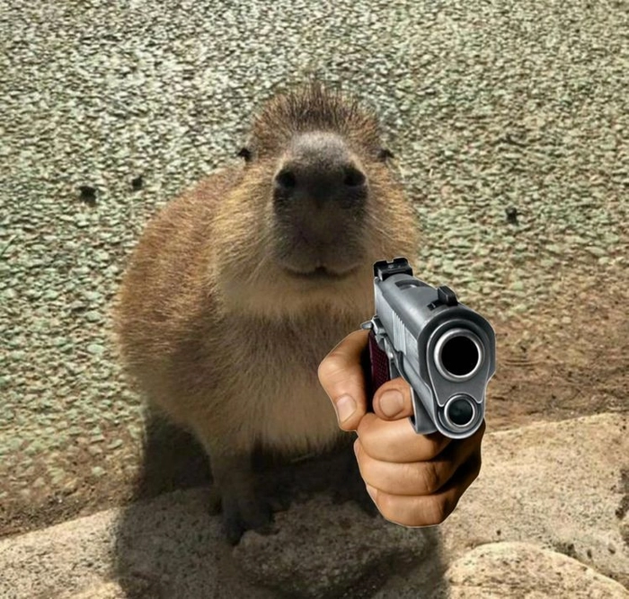 Hình ảnh meme capybara ngộ nghĩnh đáng yêu