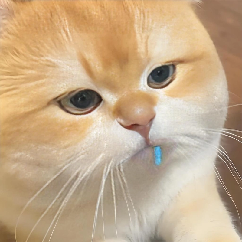 Hình ảnh meme đáng yêu đáng yêu