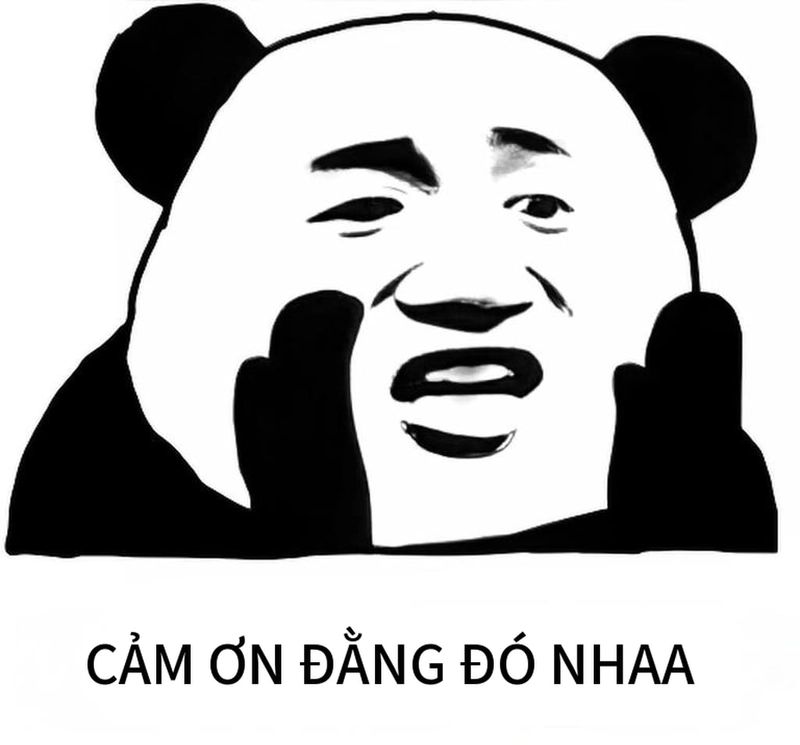 Hình ảnh meme gấu trúc cảm ơn hot nhất