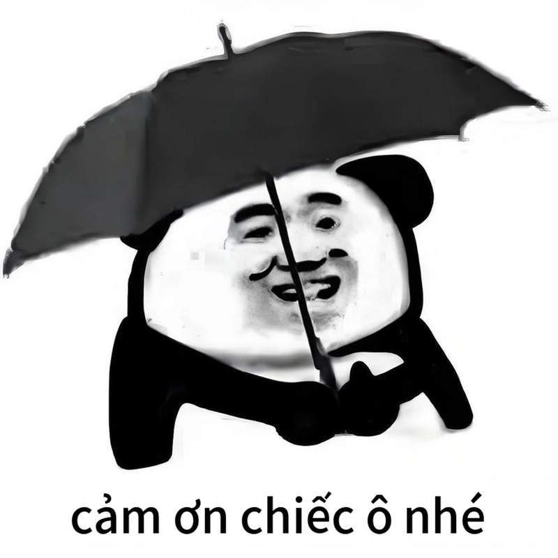 Hình ảnh meme gấu trúc đa tạ cute