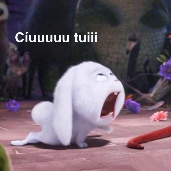 Hình ảnh thỏ Snowball meme troll hài