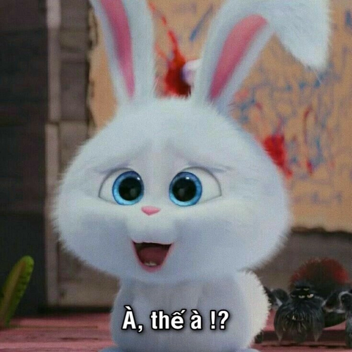 Hình ảnh thỏ Snowball meme troll vui