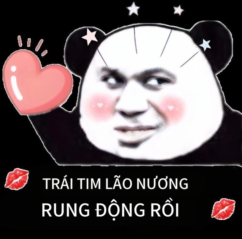 Hình chế meme gấu trúc thả tim