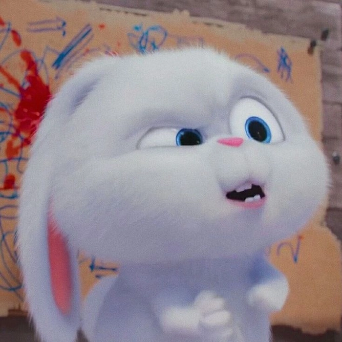 Hình chế thỏ Snowball tức giận vui nhộn