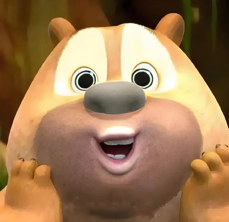 Hình gấu Boonie meme ngầu bá đạo