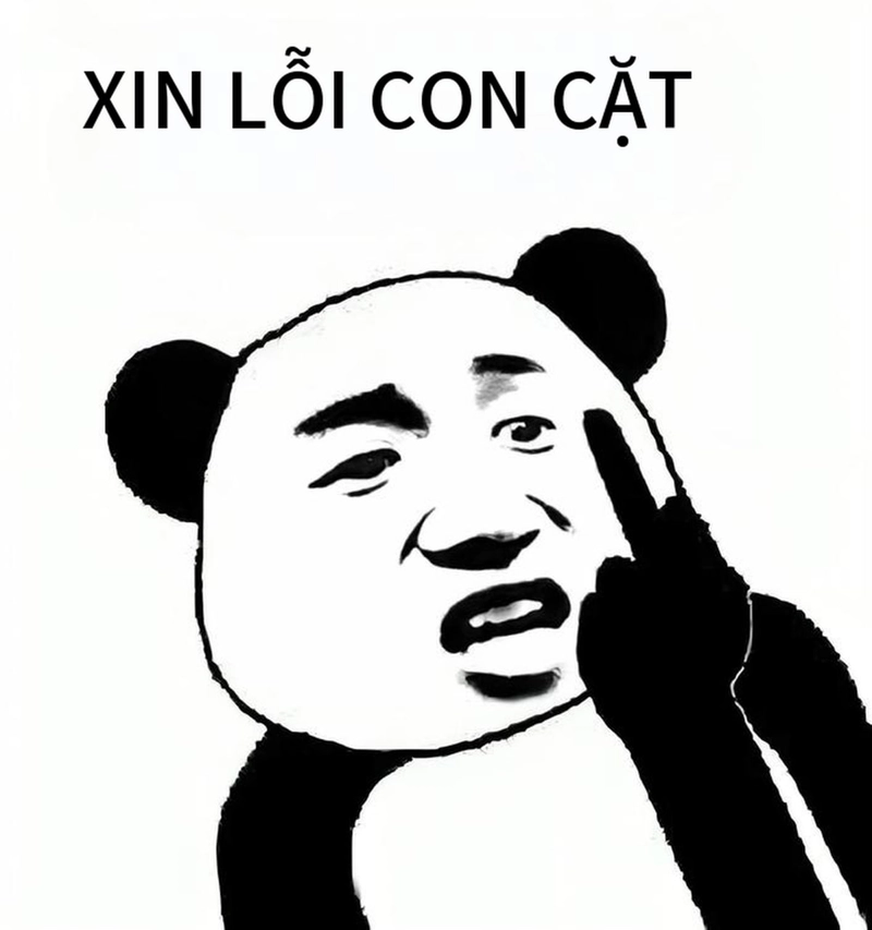 Hình gấu trúc meme xin lỗi bá đạo