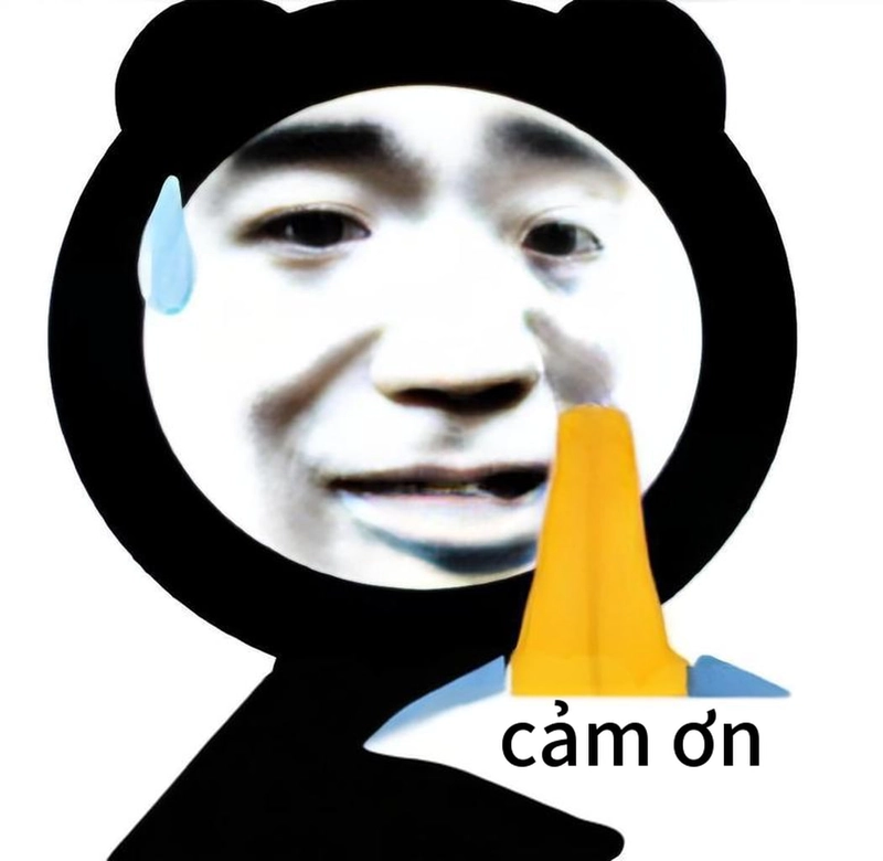 Hình meme gấu trúc cảm ơn dễ mến