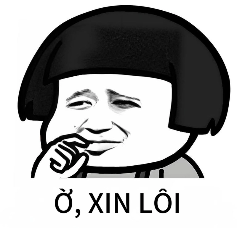Hình meme gấu trúc xin lỗi phong cách vui nhộn