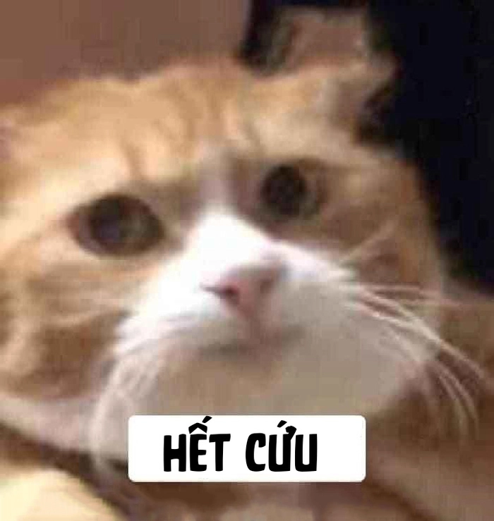 Hình meme hết cứu cực chất