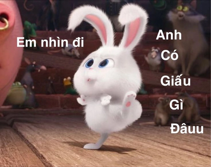 Hình thỏ Snowball meme bá đạo