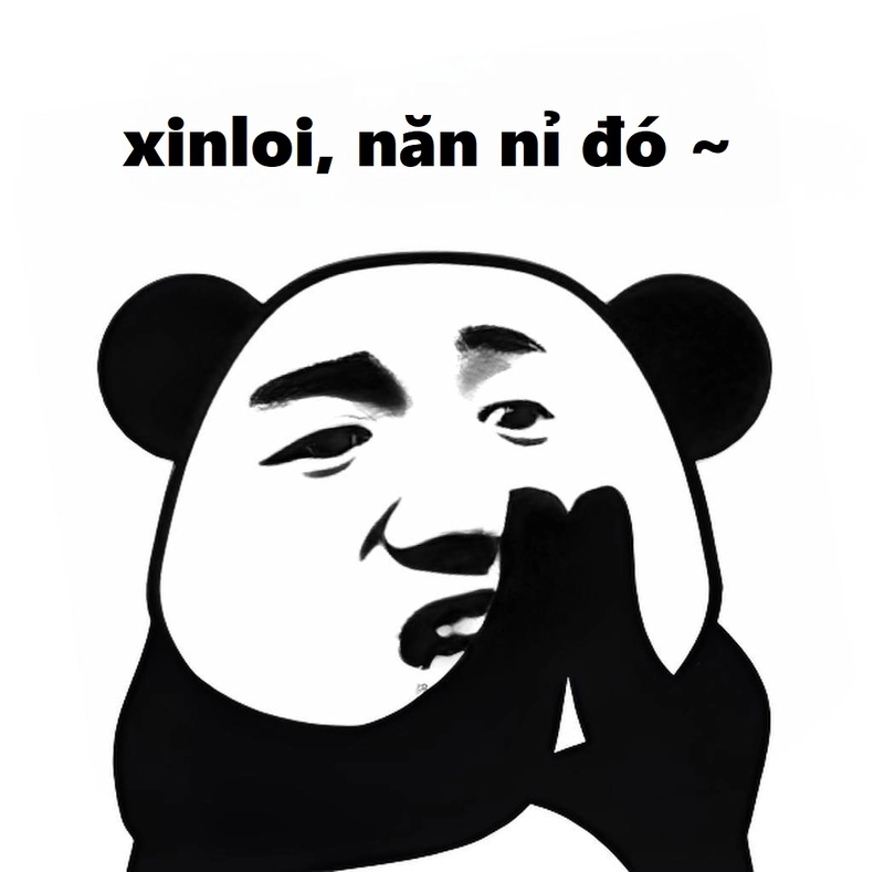 Kho meme gấu trúc xin lỗi độc đáo mới nhất