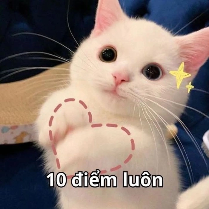 Meme 10 điểm hài hước cực hot