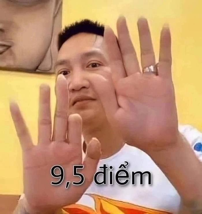 Meme 10 điểm mèo vui nhộn ngộ nghĩnh