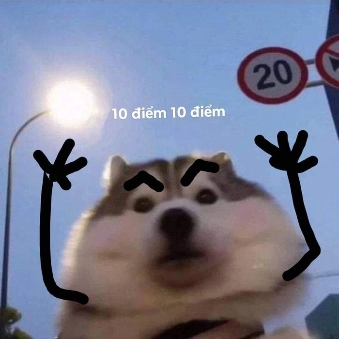 Meme 10 điểm troll bá đạo