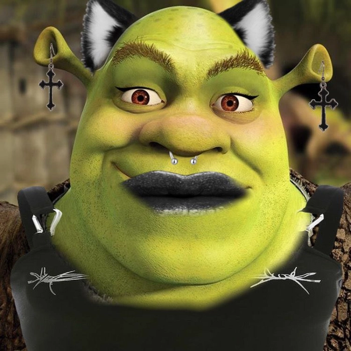 Meme Shrek cực hài