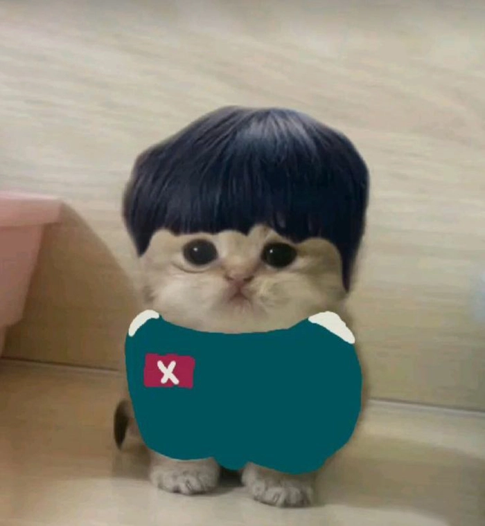 Meme Squid Game châm biếm