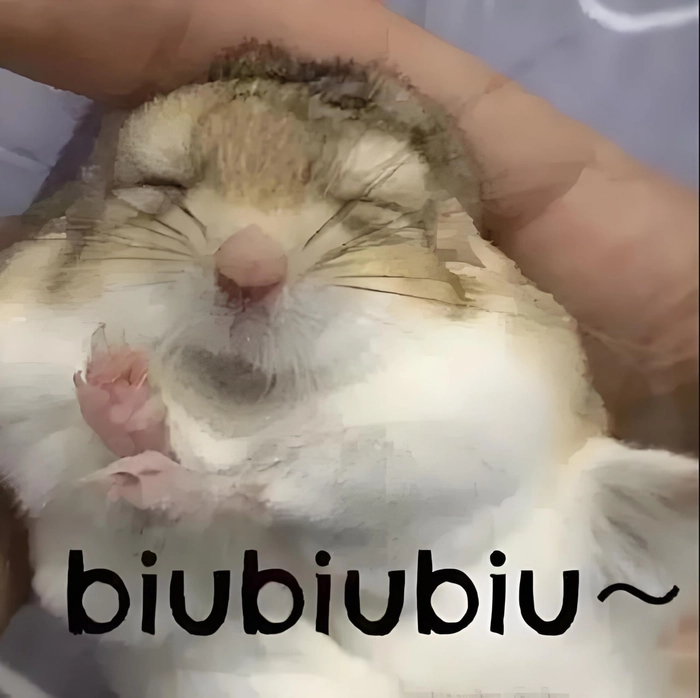 Meme ảnh chuột Hamster hài hước khó đỡ