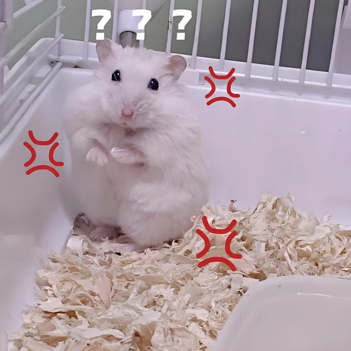Meme ảnh chuột Hamster khóc hài hước ngộ nghĩnh