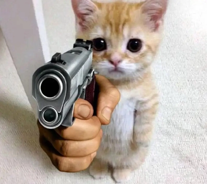 Meme ảnh mèo ngầu hài lầy lội
