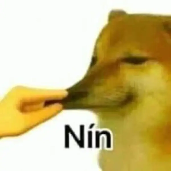 Meme ảnh nín bá đạo ngộ nghĩnh