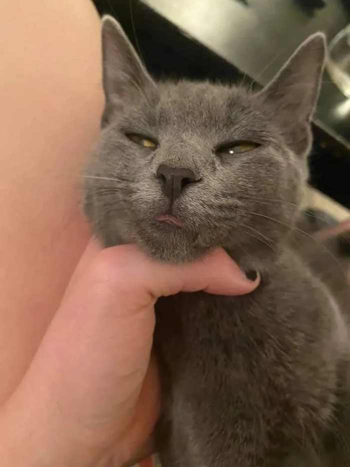 Meme bóp cổ hài troll bạn bè