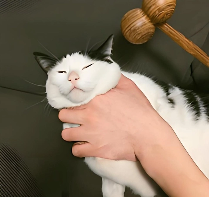 Meme bóp cổ lầy hài khó nhịn cười