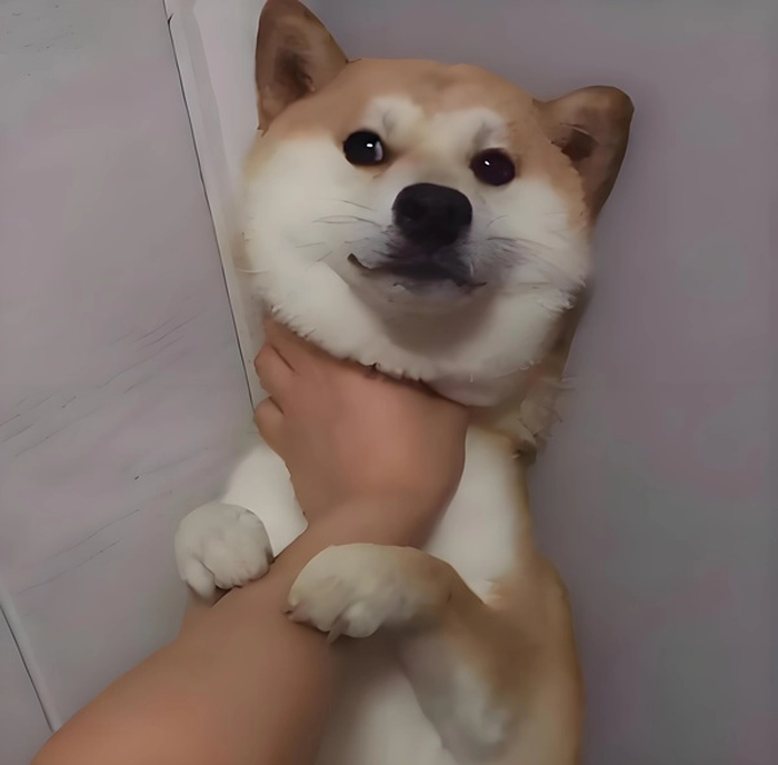 Meme bóp cổ lè lưỡi cực hài