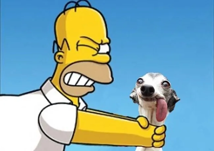Meme bóp cổ lè lưỡi hài bựa